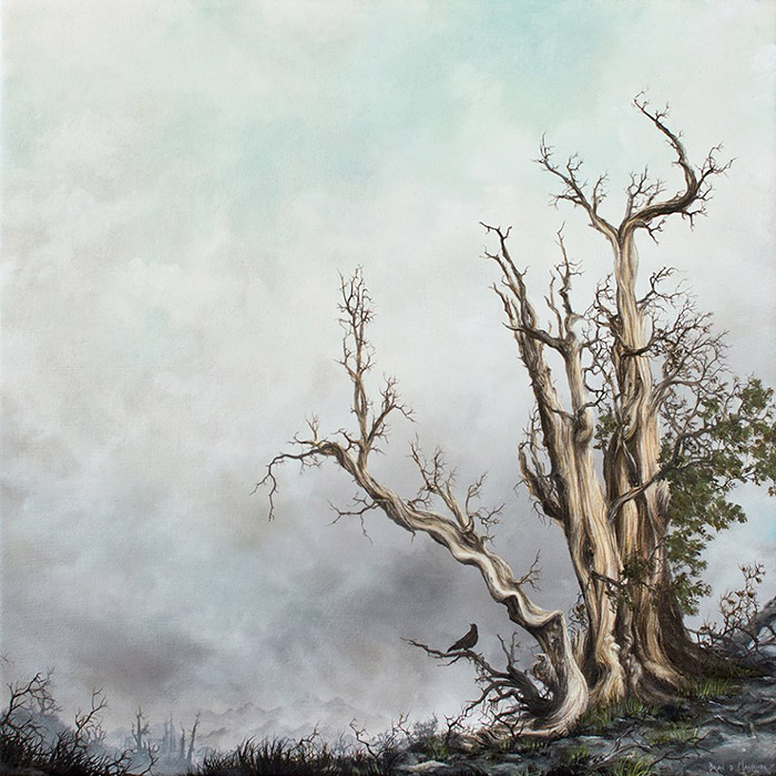 Brian Mashburn (2)