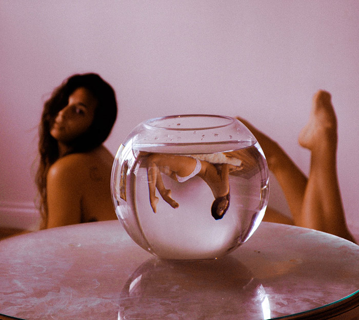 Dana Trippe (6)