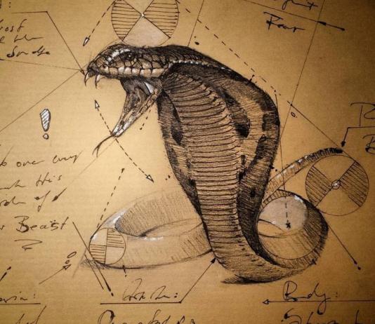 Pencil & Sketch Drawing by psdelux / 7414
