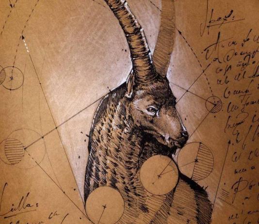 Pencil & Sketch Drawing by psdelux / 7415