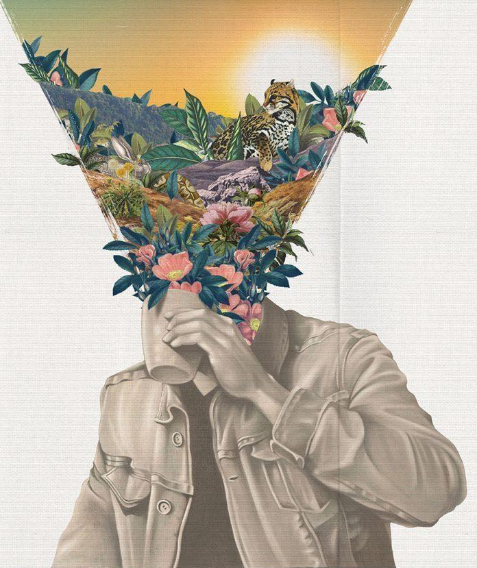 Collage by Kyle Cobban / 5015