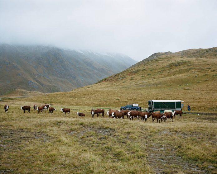 Photography by Nicolas Blandin / 5082