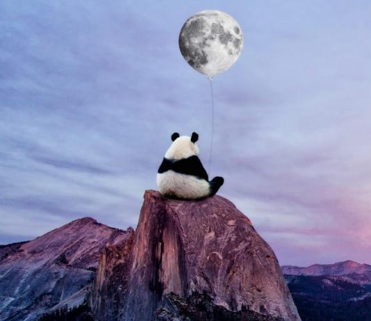 Landscape & Scenery Collage by Karen Cantú / 5114