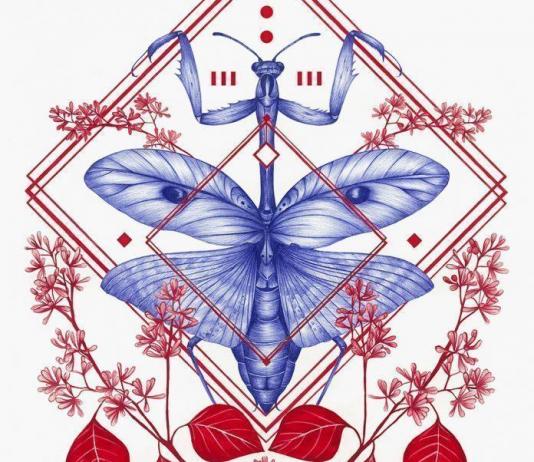 Modern & Contemporary Drawing by Peony Yip / 5872