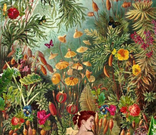 Surreal Collage by Gloria Sánchez / 6721