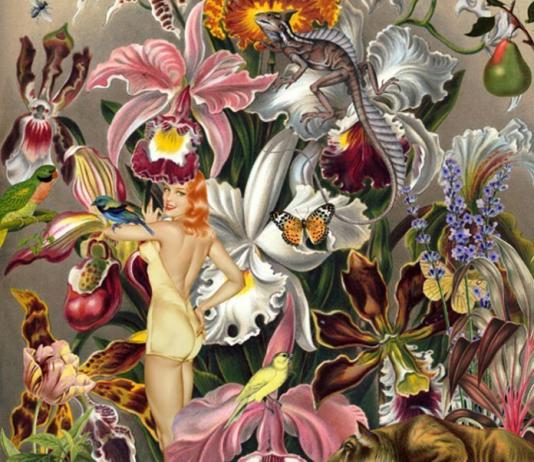 Surreal Collage by Gloria Sánchez / 6722