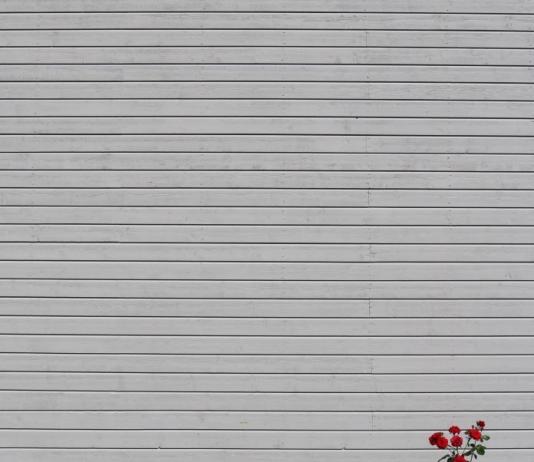 Minimalist Photography by Marcus Cederberg / 7003