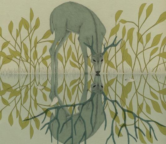 Animal Illustration by Lulo Febril / 8711