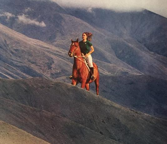 Mountain Collage by Robyn Redish / 9174