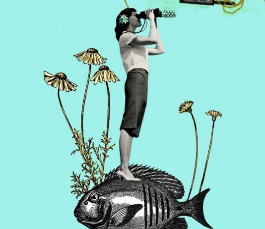 Fish Collage by Tatiana Del Toro / 9193
