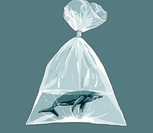 Fish Illustration by Useless Treasures / Artist 10062