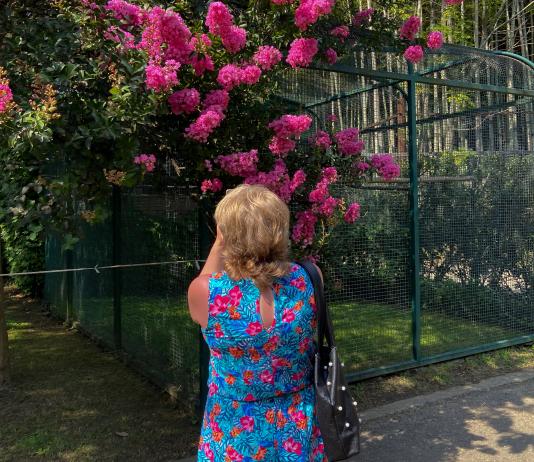 Flower & Floral Photography by Tinatin Jabanashvili / 14725