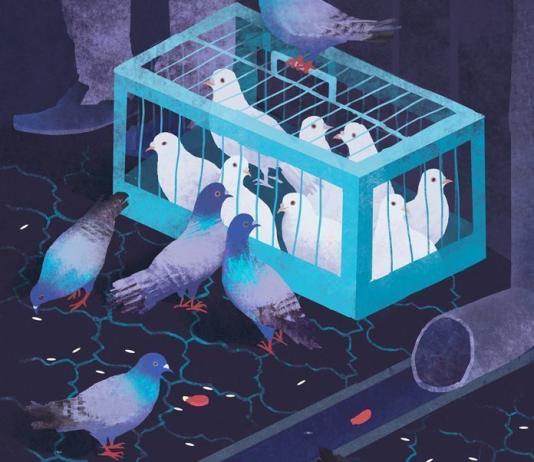 Bird Illustration by Daria Skrybchenko / 9093