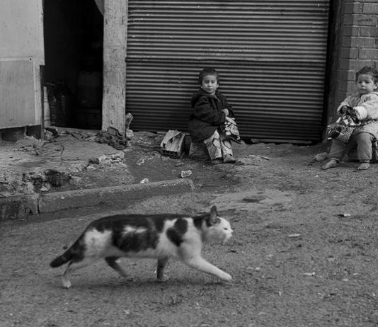 Street & Urban Photography by Fatma Demir / 10338