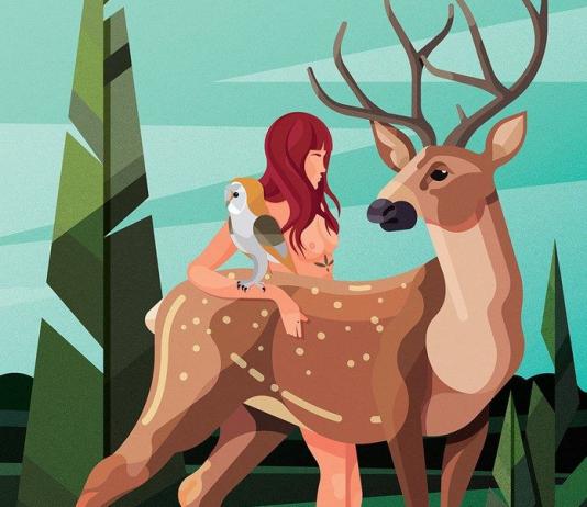 Deer Illustration by James Boast / Artist 11313