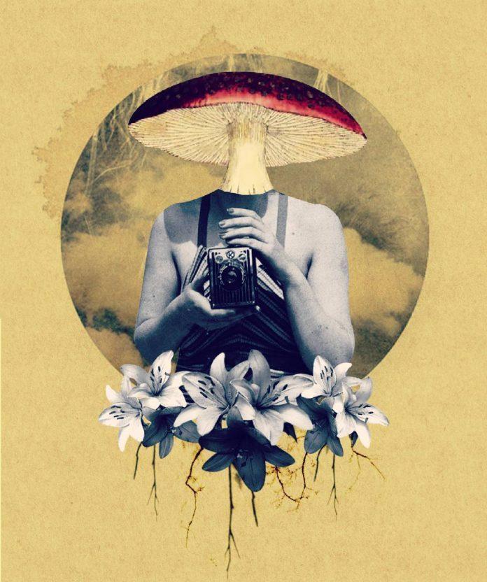 Collage by Tatiana Del Toro / 9205