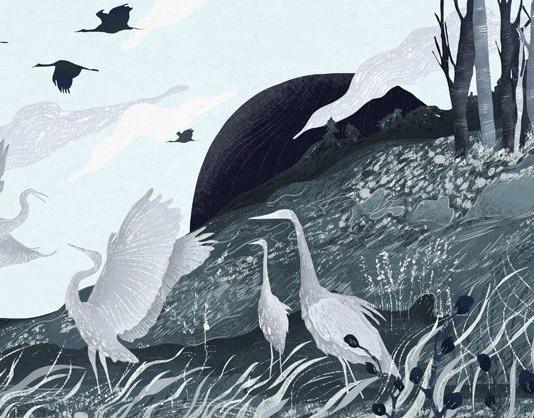 Black and White Illustration by Amalia Restrepo / 7750