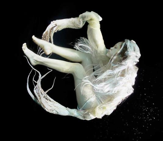 Underwater Photography by Zena Holloway / Artist 10074