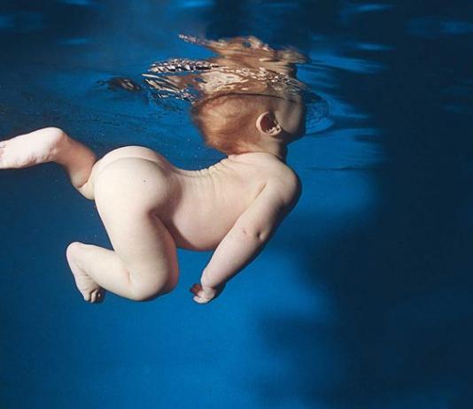 Underwater Photography by Zena Holloway / Artist 10081