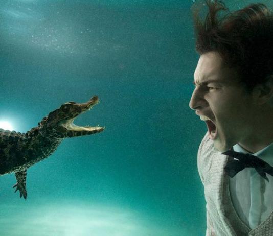Underwater Photography by Zena Holloway / Artist 10080